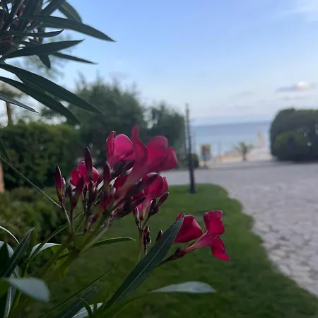 Garden Of Eden - Sea View *