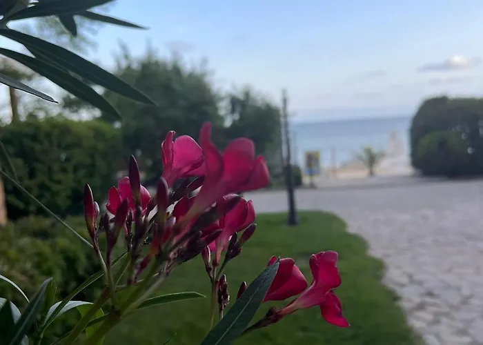 Garden Of Eden - Sea View *